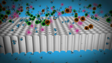 macroaufnahme-0-00-31-04